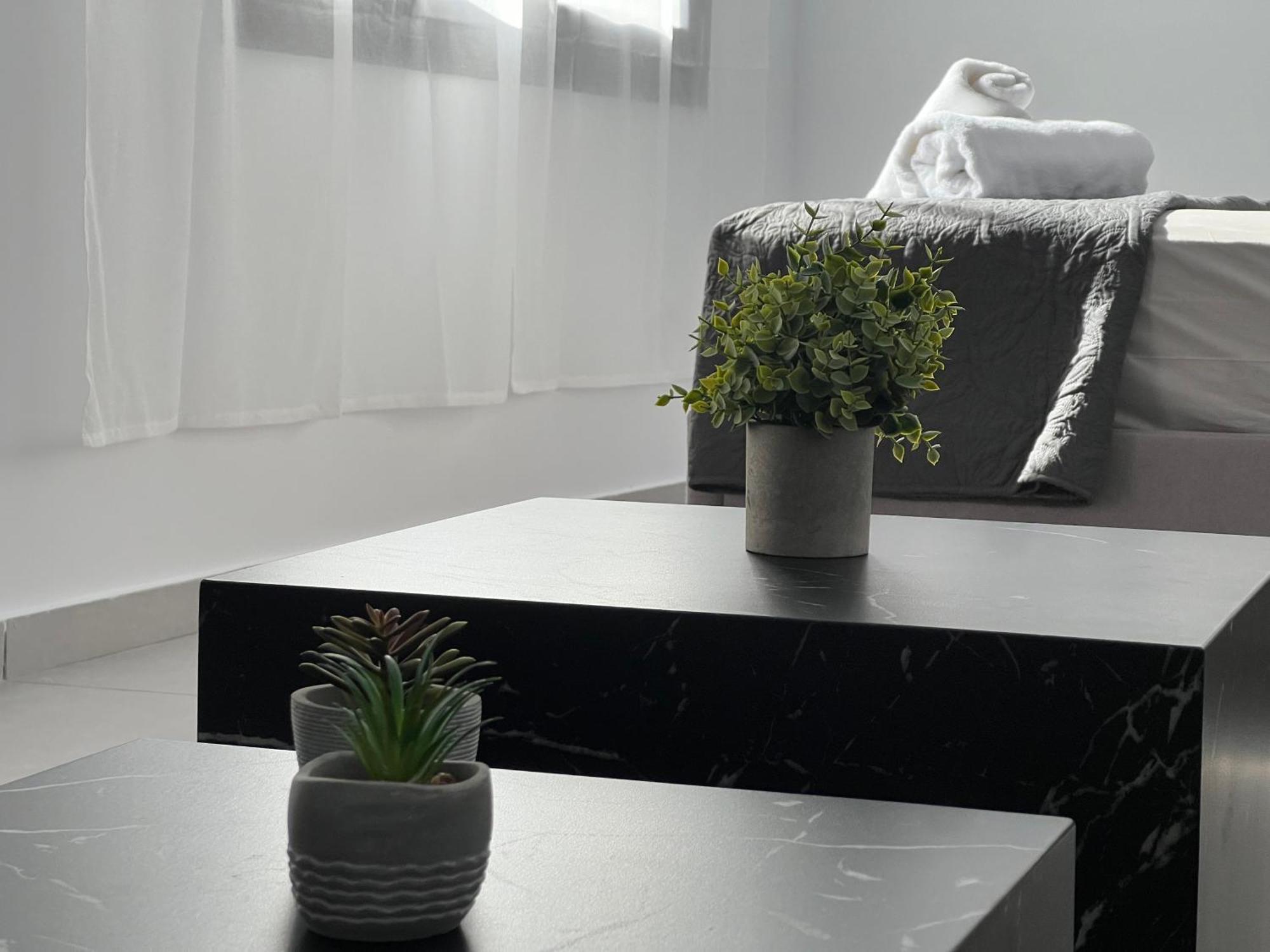 Ag Deluxe Apartment 알렉산드로폴리스 외부 사진